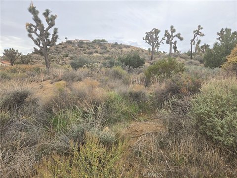 Residential Lot in Yucca Valley