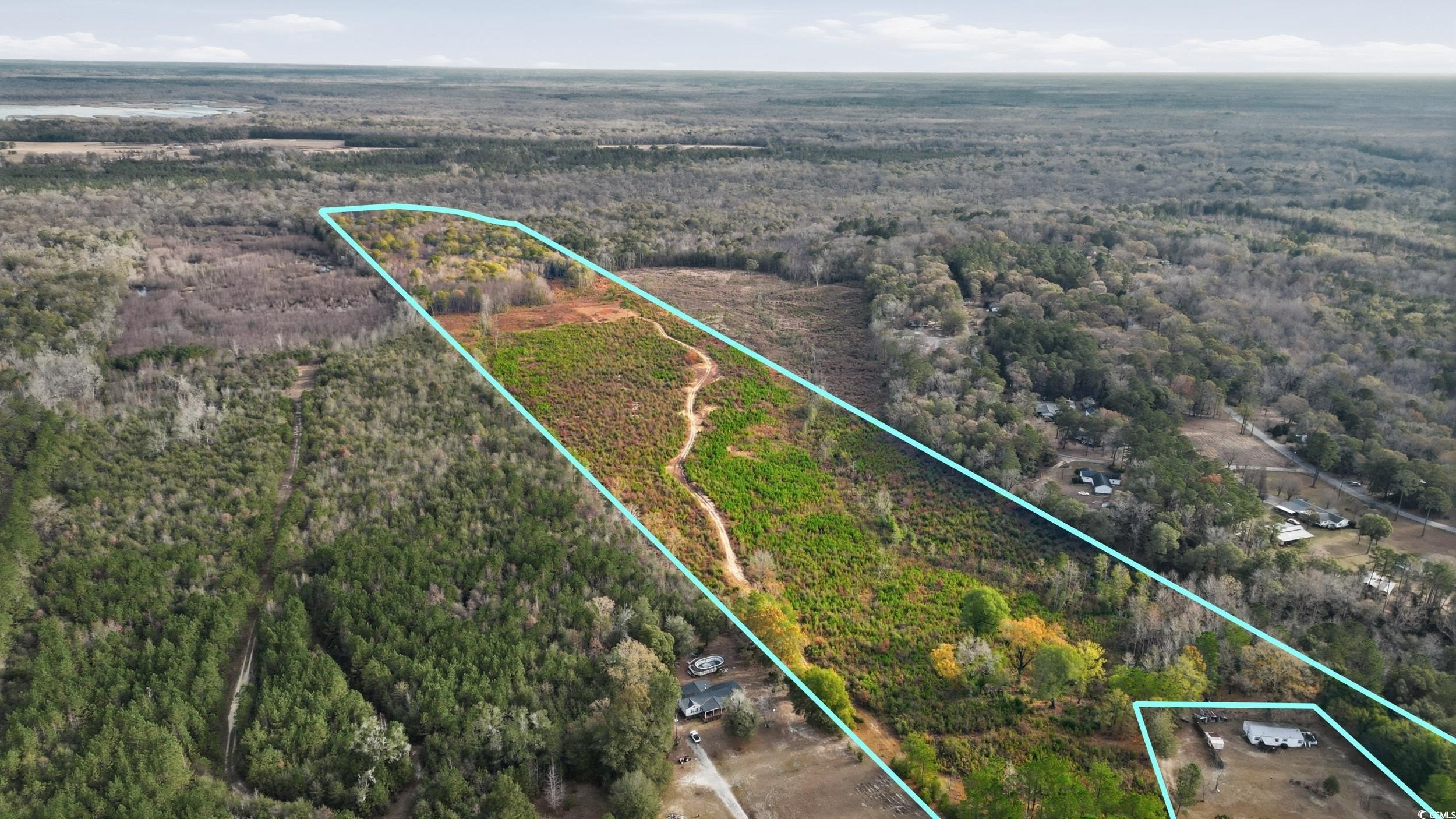 Unrestricted Land in Pamplico, SC