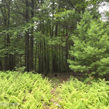 Land, Rowland, PA