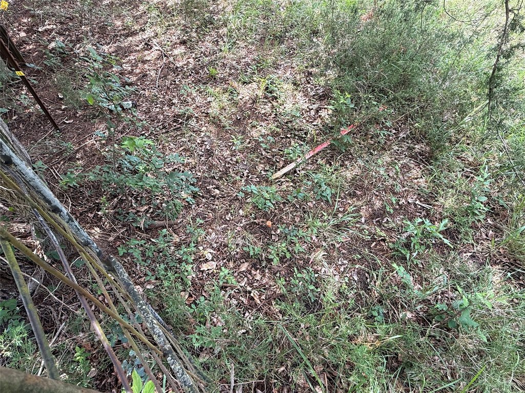Picture 5