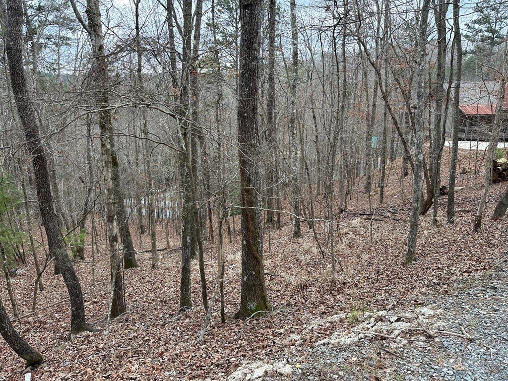 Picture 3