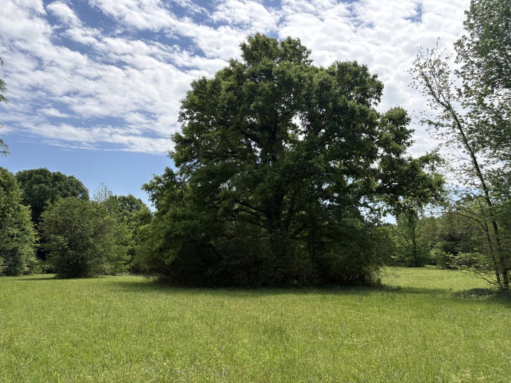 Picture 16