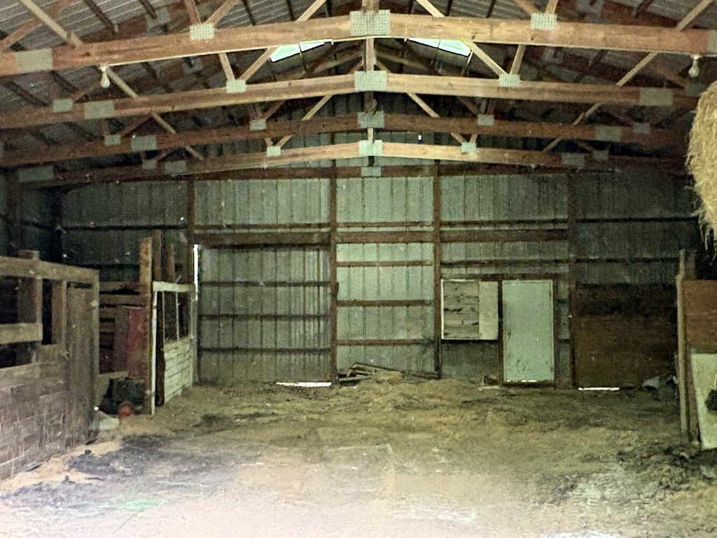 Picture 14