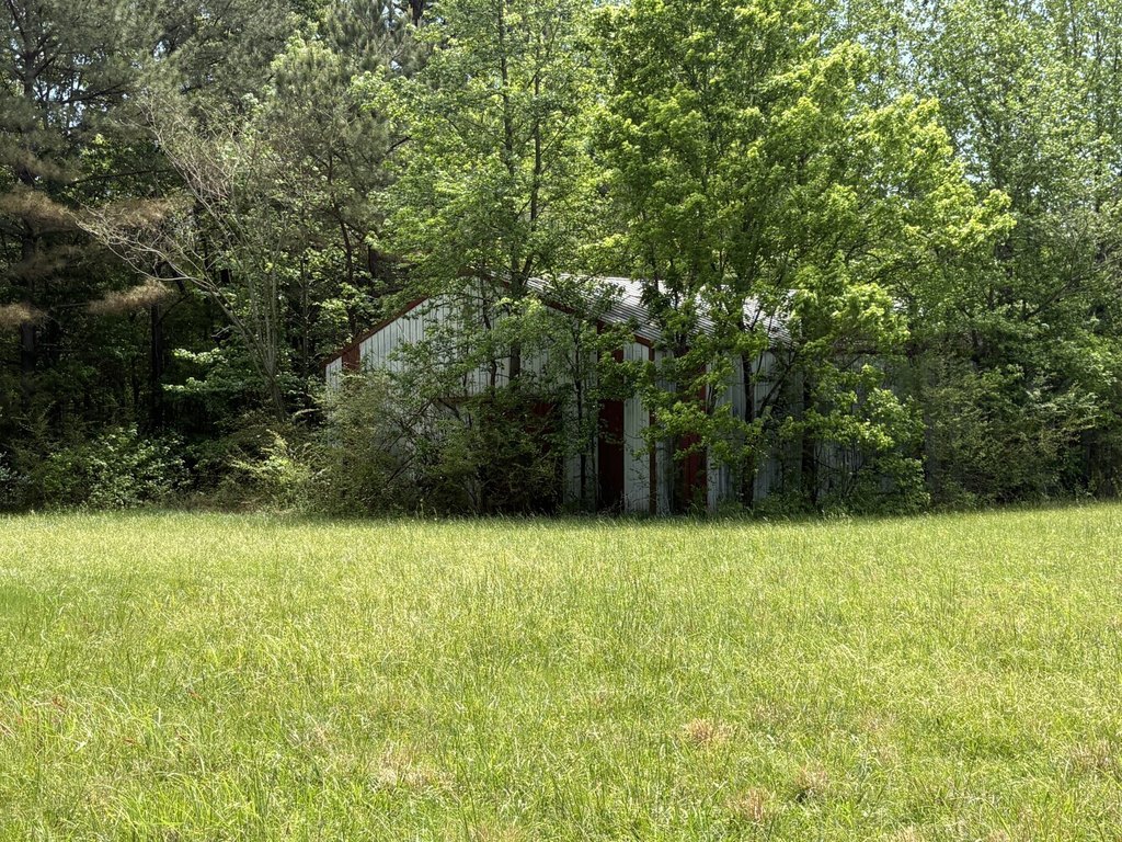 Picture 12
