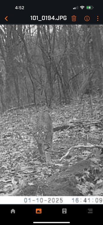 Picture 13