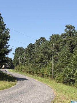 LAND/LOTS, ODENVILLE, AL