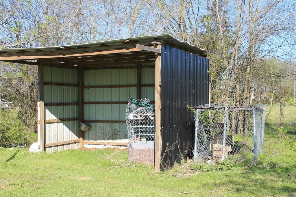 Picture 4