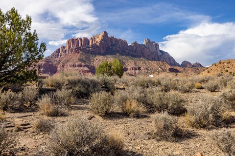 Land with Zion Park Views