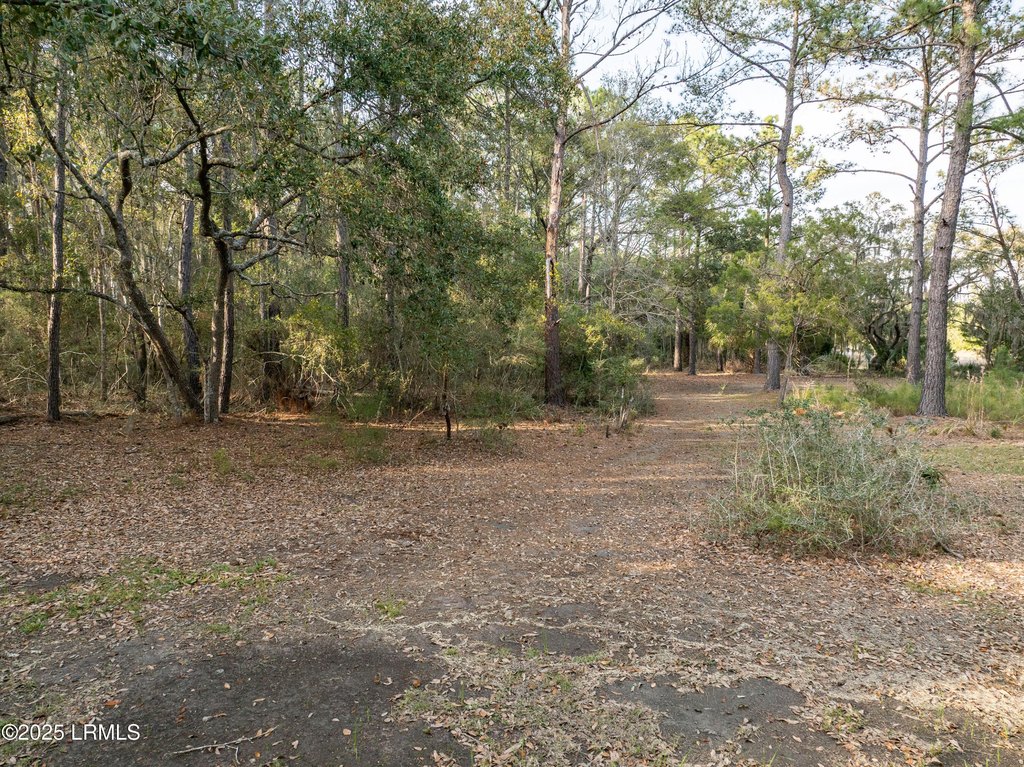 Picture 10