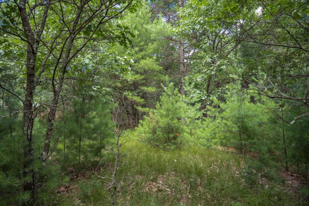 Picture 23