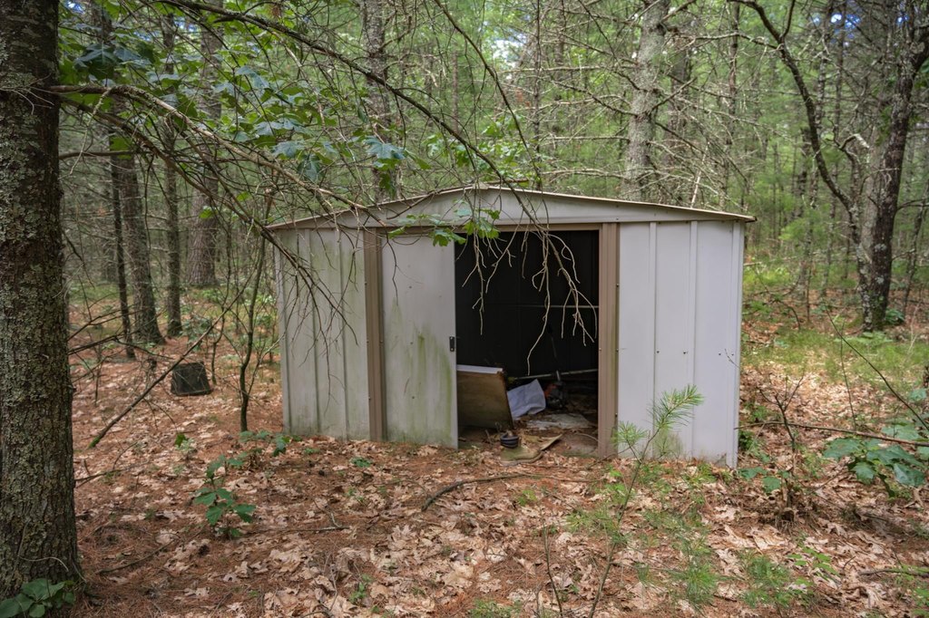 Picture 6