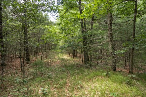 LAND - Arkdale, WI