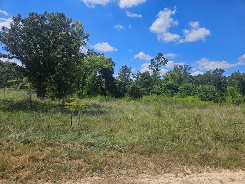 Land, Mountain View, MO