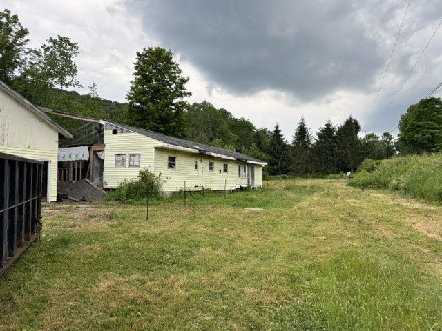 Picture 6