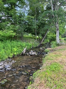 LAND - Walton, NY