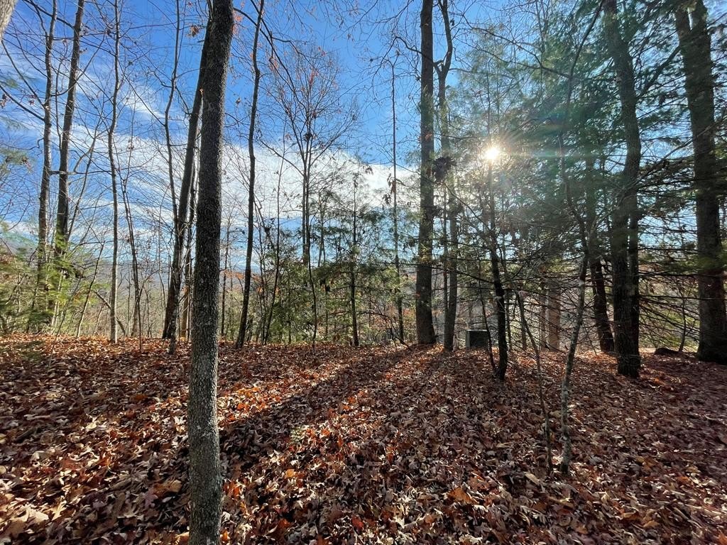 Wooded Lot in Bryson City
