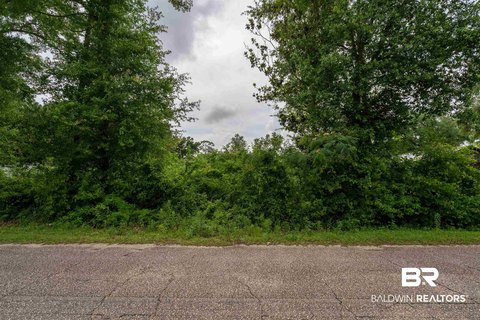 Waterfront Wooded Land Lot