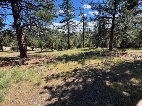 Land with Lake Shastina Views