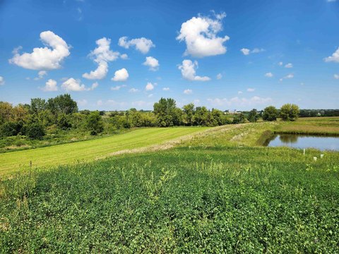 Lots & Acreage, DeForest, WI