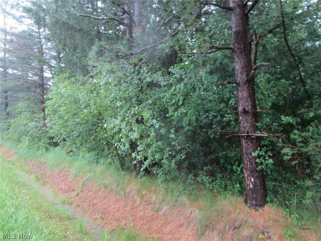 Picture 3