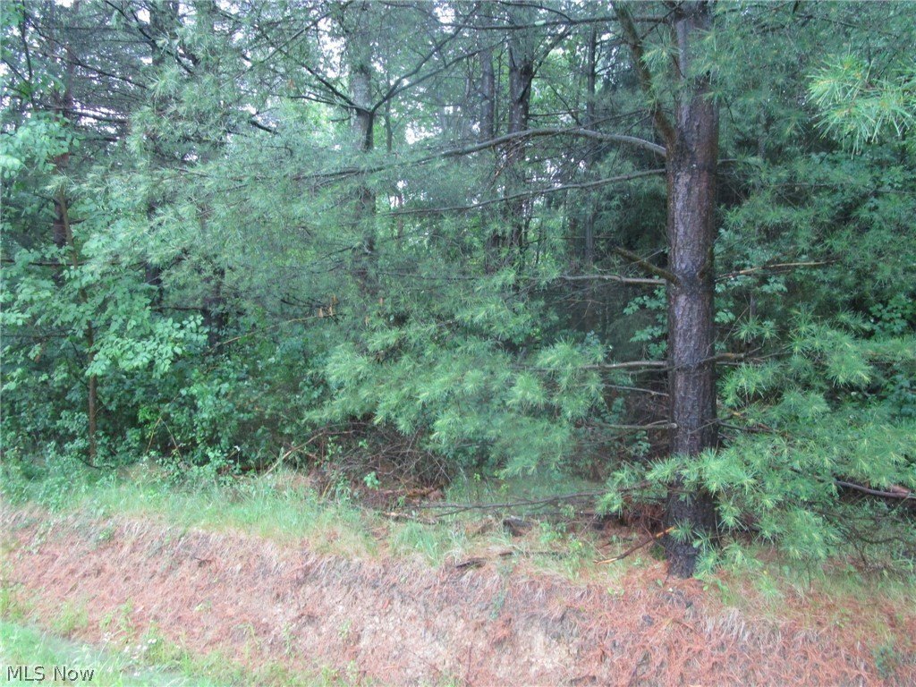 Picture 5