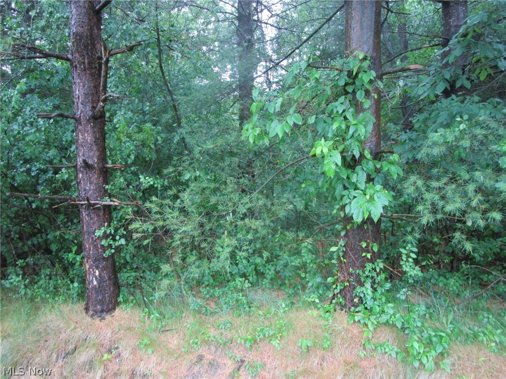 Picture 4
