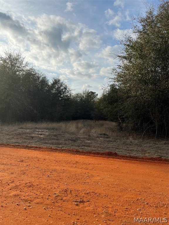 Land in Miller's Ferry Area
