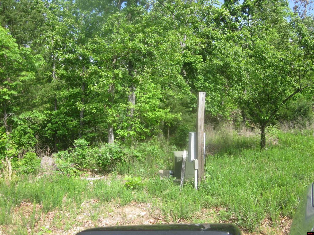 Picture 27
