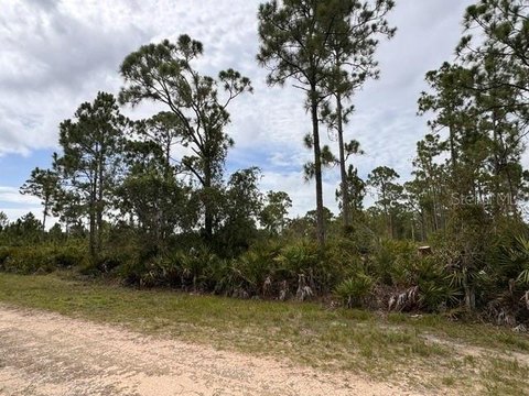 Land, PUNTA GORDA, FL