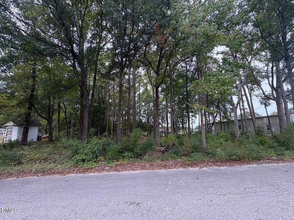 Picture 5