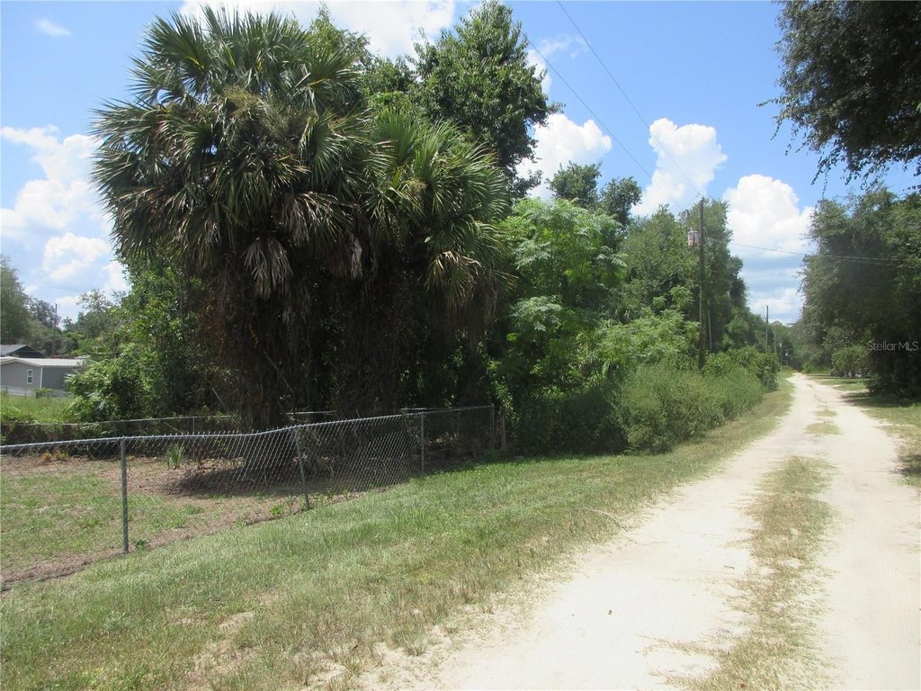 Picture 7