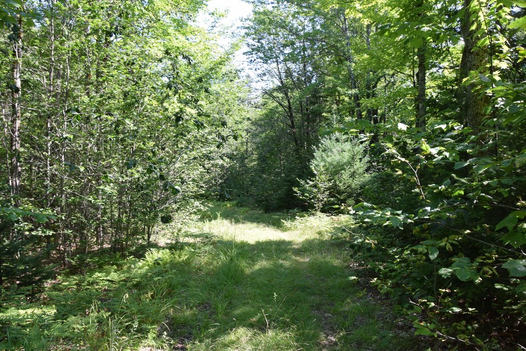 Picture 26