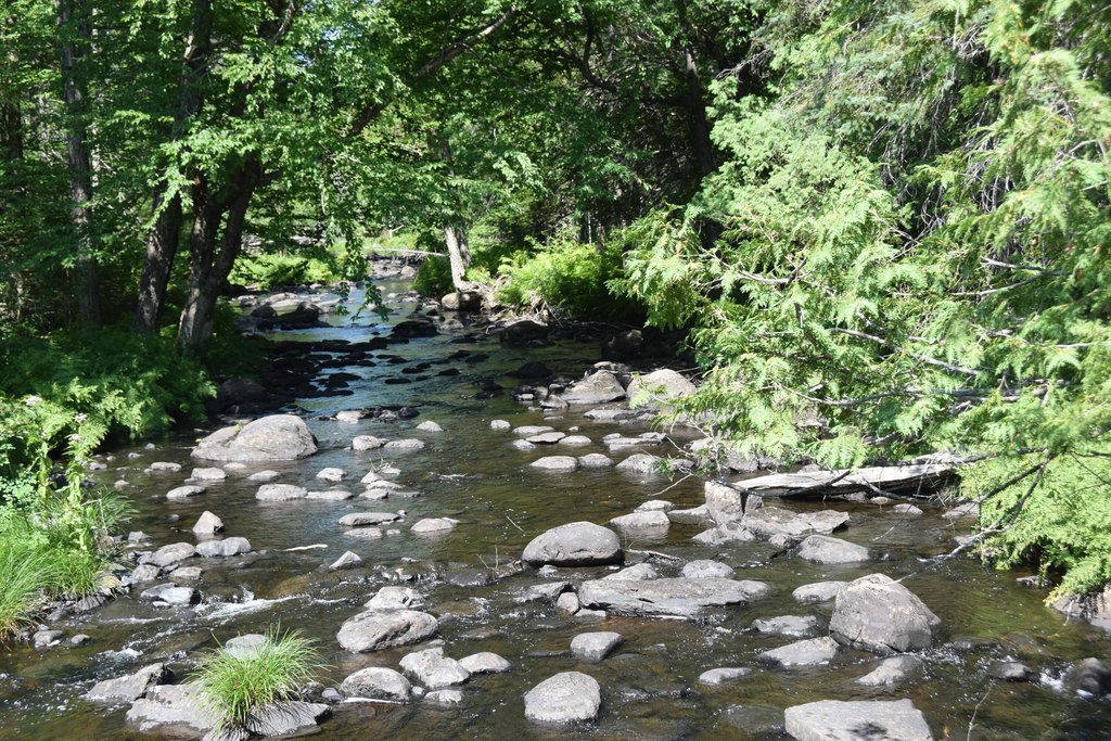 Picture 11