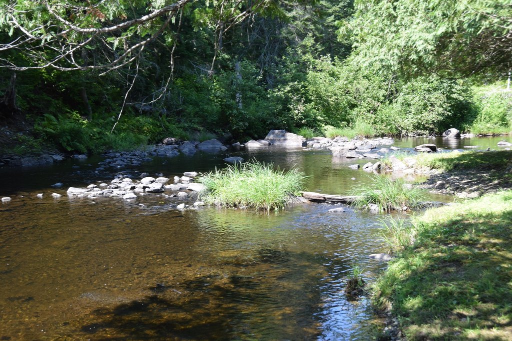 Picture 8