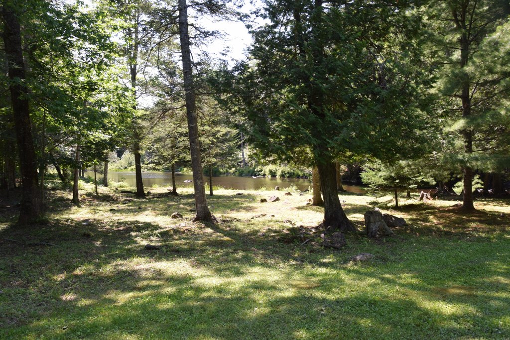 Picture 14