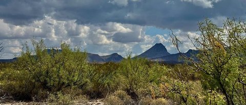 Terlingua Land Near Big Bend