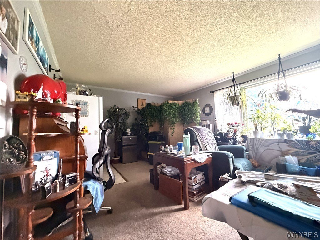Picture 33