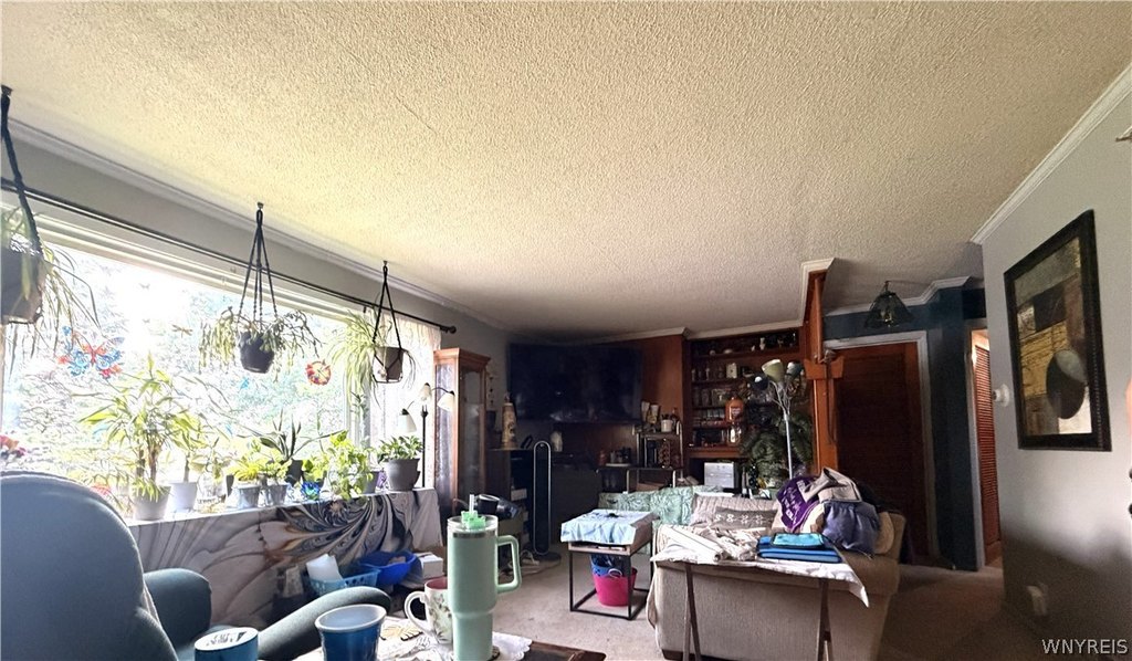 Picture 32