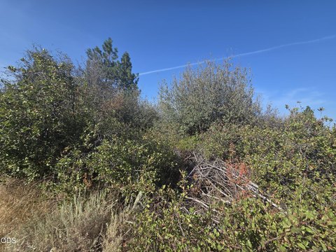 Land, Chiloquin, OR