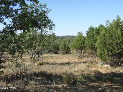Pinedale, AZ Building Lot