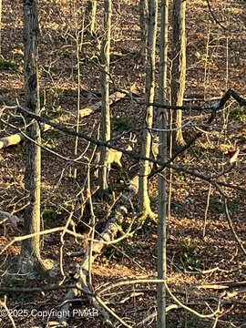 33.87 Acres Buildable Land