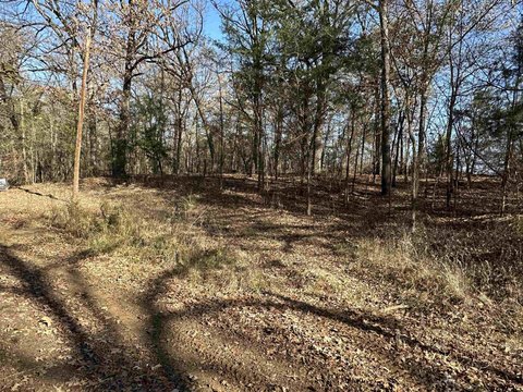 Thunderbird Point Wooded Lots