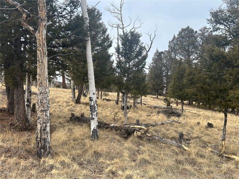 Land, Hartsel, CO