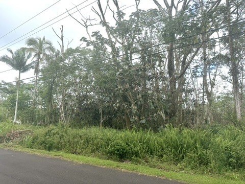 Picture 5