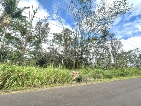 Picture 4