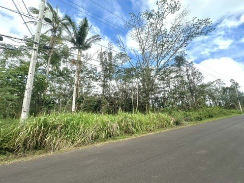 Picture 3