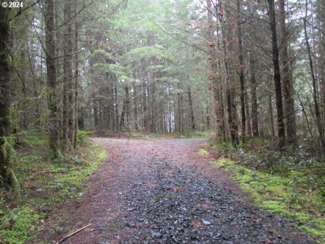 Scio Land with Douglas Fir