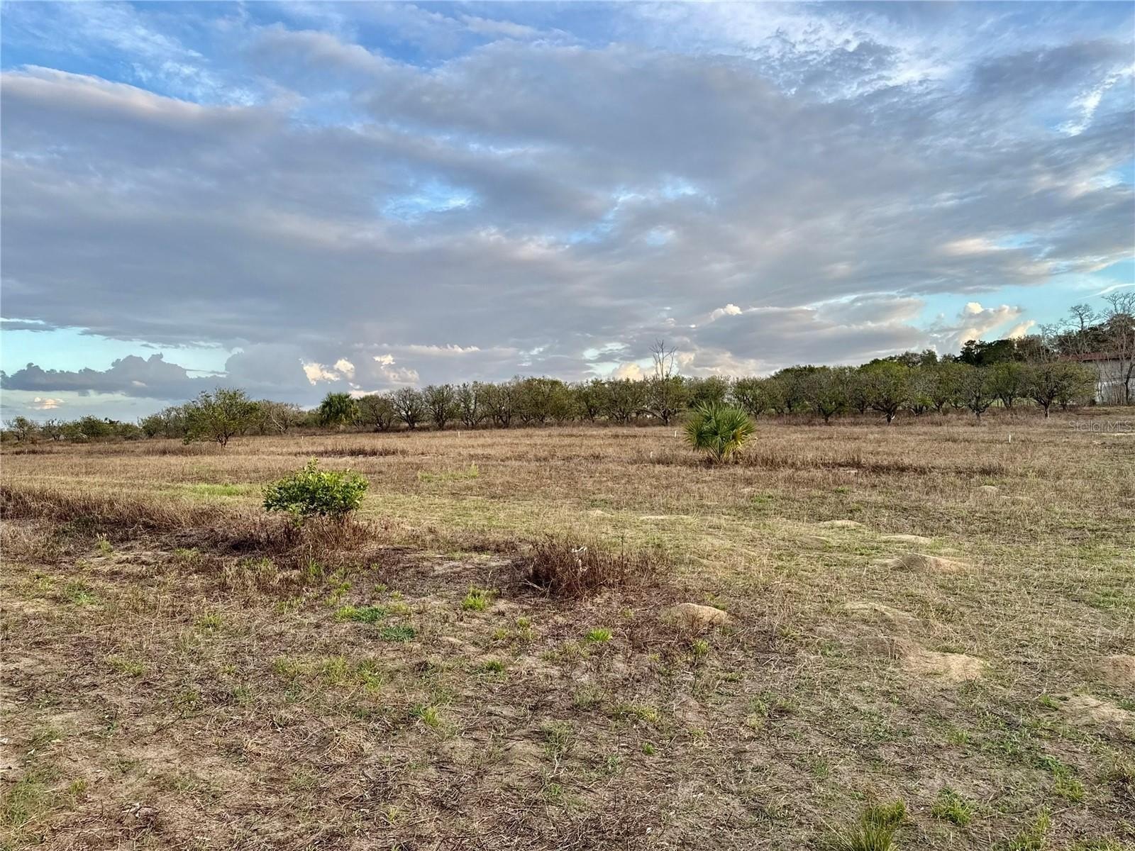 Weirsdale, FL Buildable Land