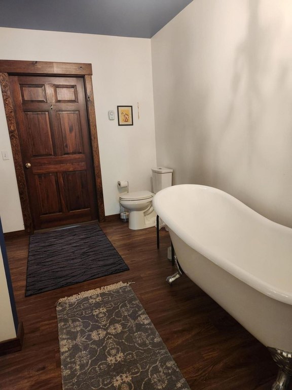 Picture 21