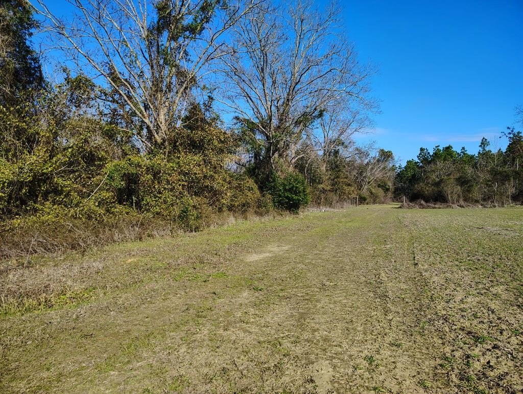 Land in Cottonwood, Alabama